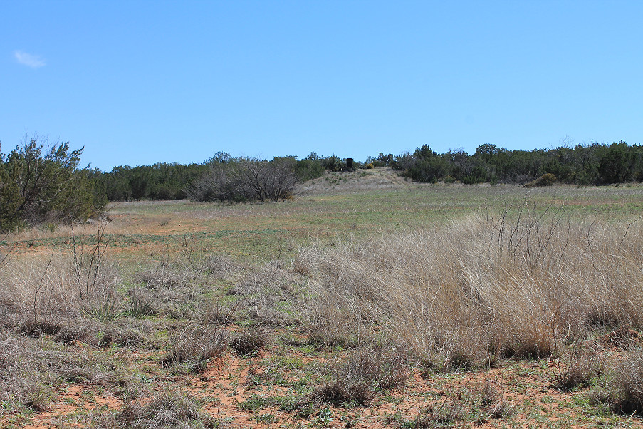 Scott Lane Acreage Photo