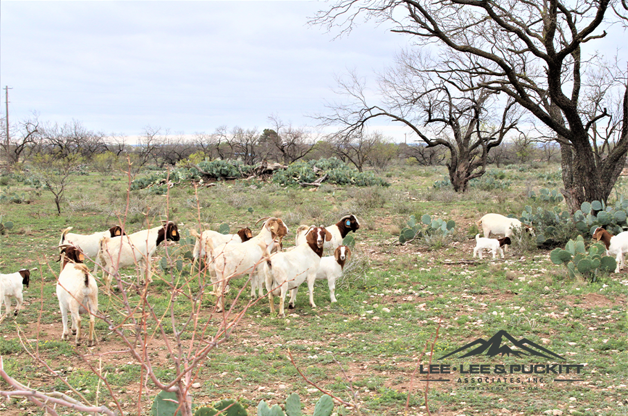 TW Ranch Photo