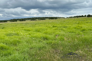 West Fork Ranch Photo