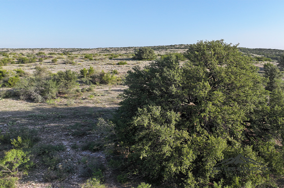 Wilson - Carlsbad Ranch Photo