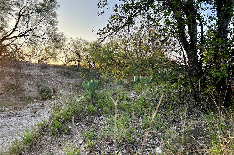 Wilson - Carlsbad Ranch Photo