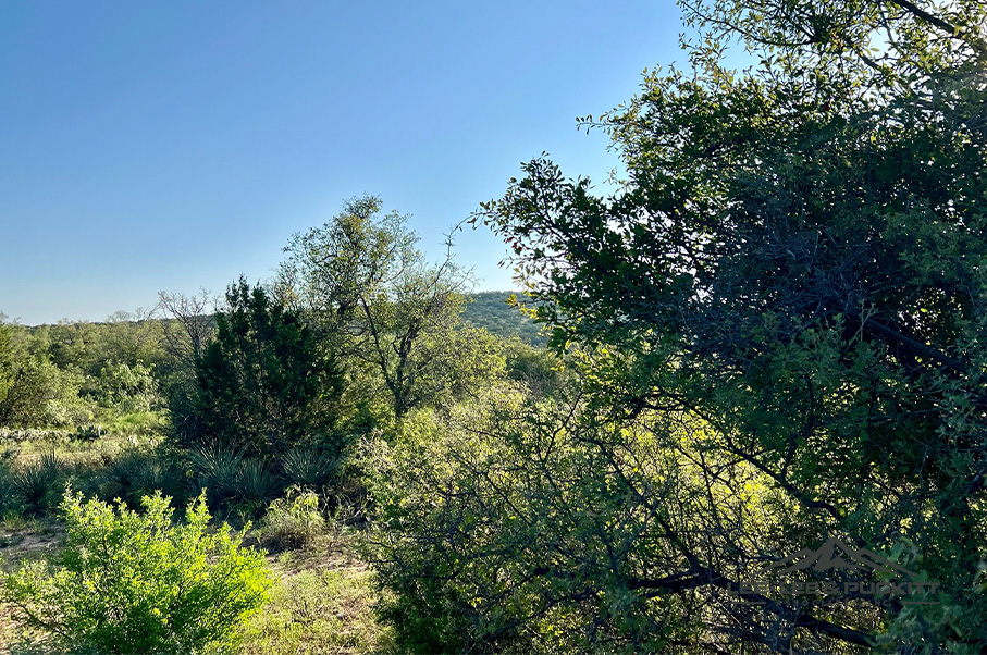 Wilson - Carlsbad Ranch Photo