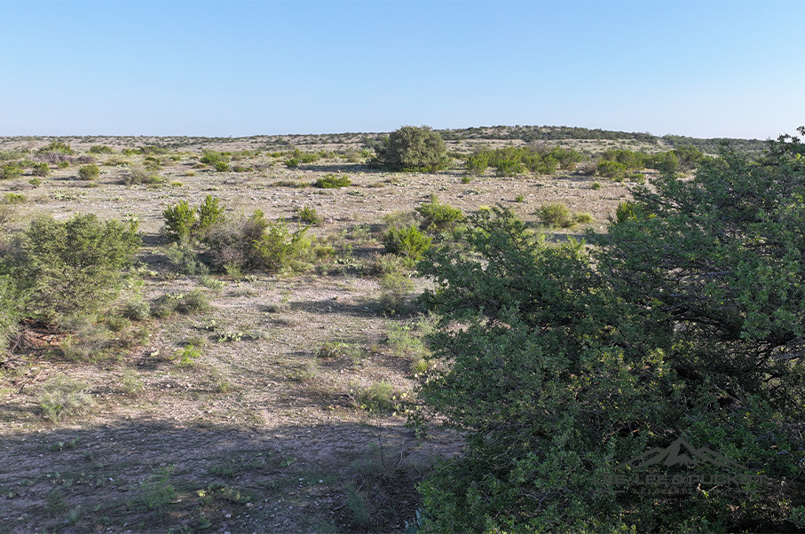 Wilson - Carlsbad Ranch Photo