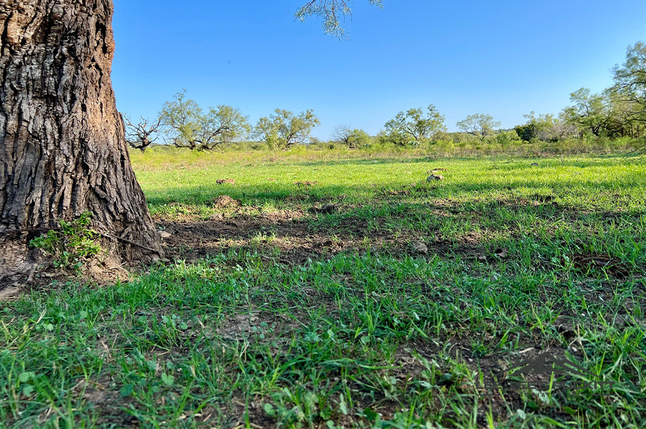 Wilson - Carlsbad Ranch Photo