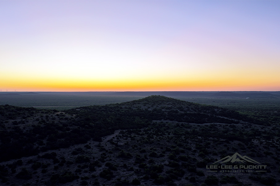 Wilson - Carlsbad Ranch Photo