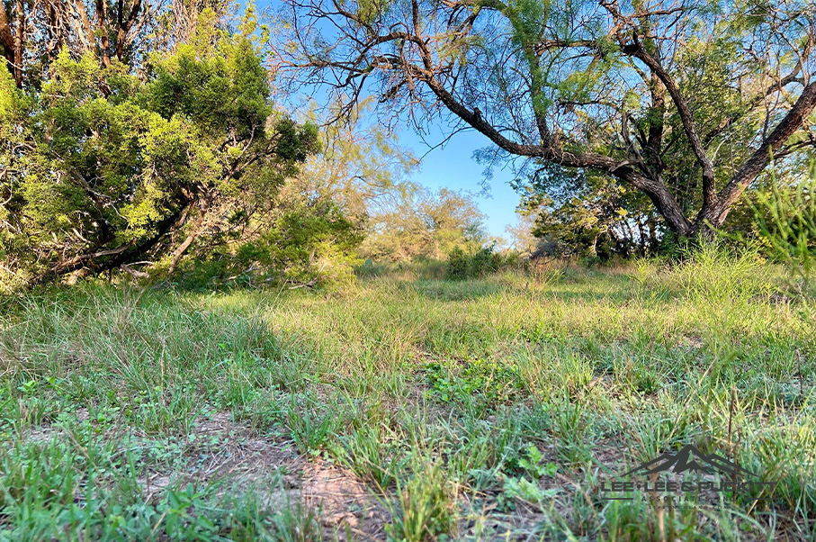 Wilson - Carlsbad Ranch Photo