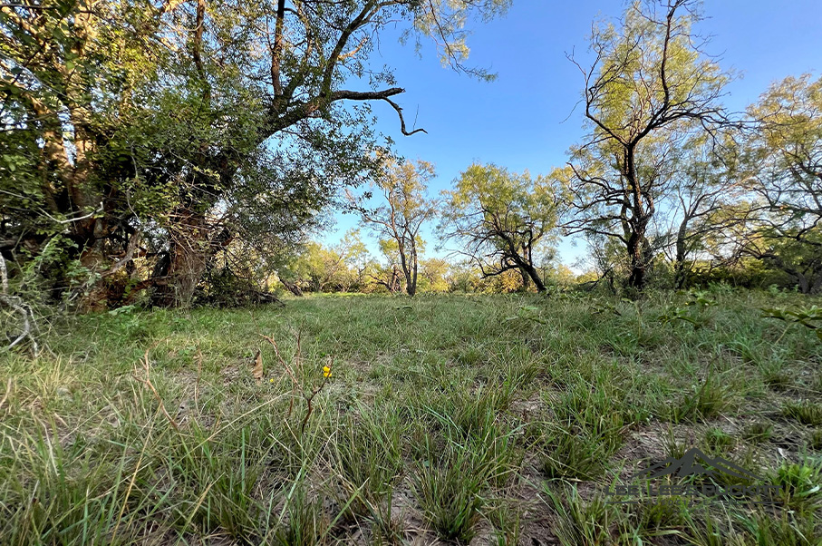 Wilson - Carlsbad Ranch Photo