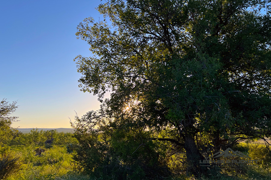 Wilson - Carlsbad Ranch Photo