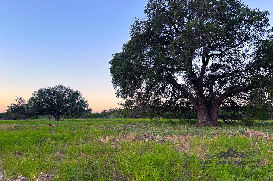 Wilson - Carlsbad Ranch Photo