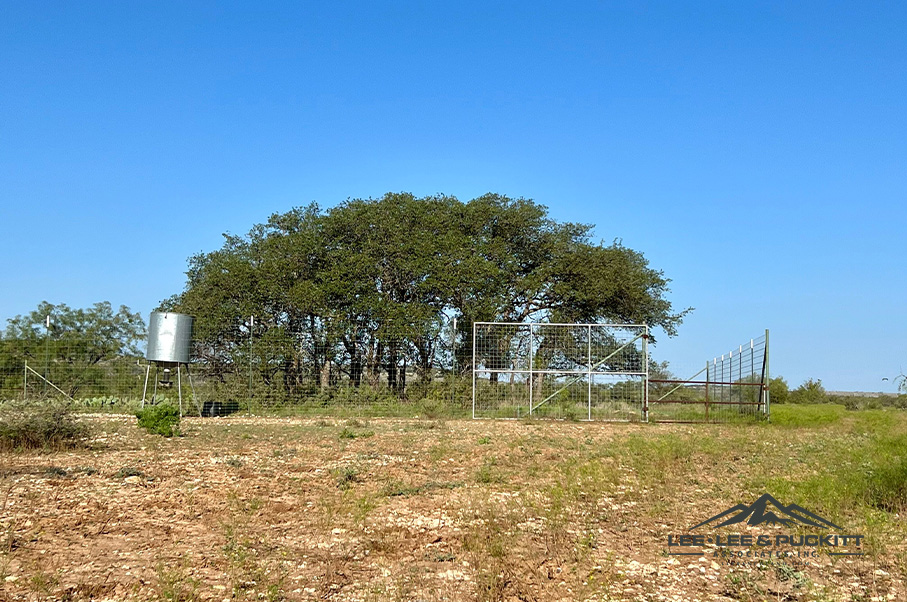 Wilson - Carlsbad Ranch Photo