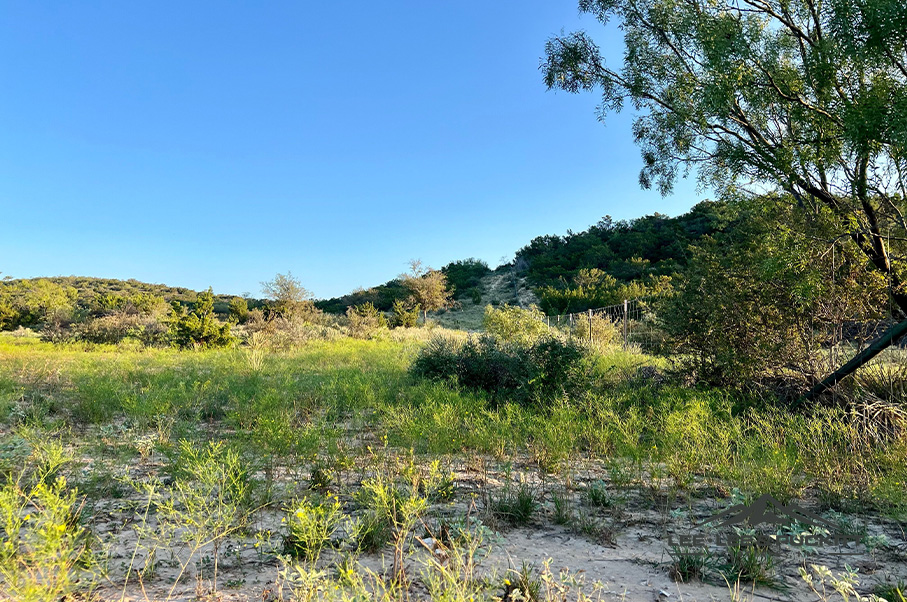 Wilson - Carlsbad Ranch Photo