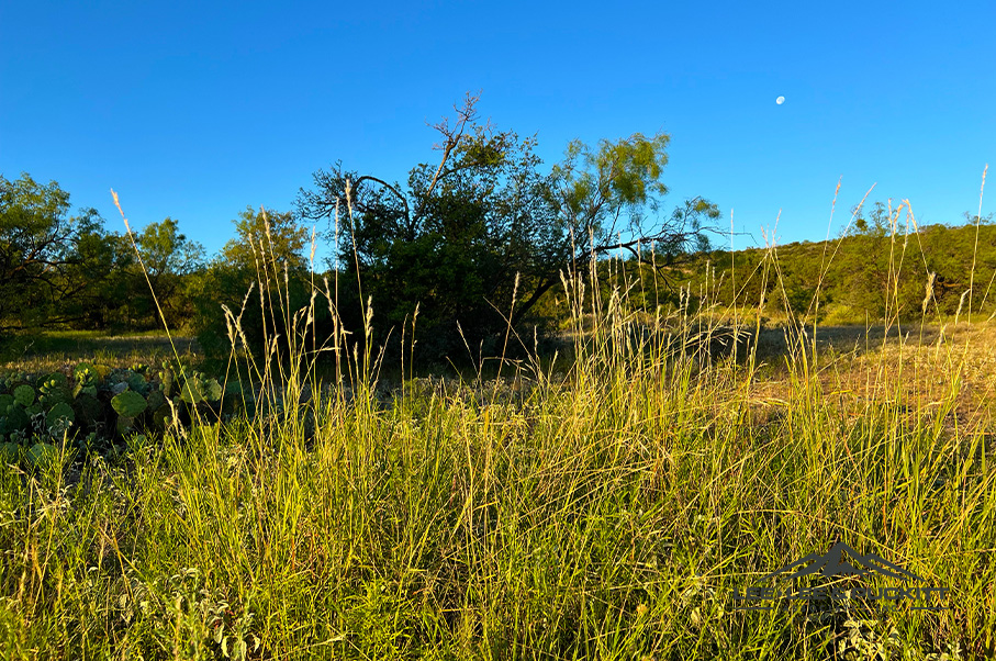 Wilson - Carlsbad Ranch Photo