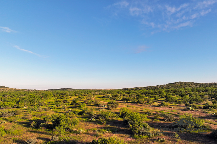 Wilson - Carlsbad Ranch Photo