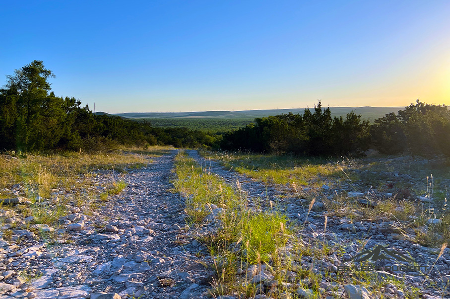 Wilson - Carlsbad Ranch Photo