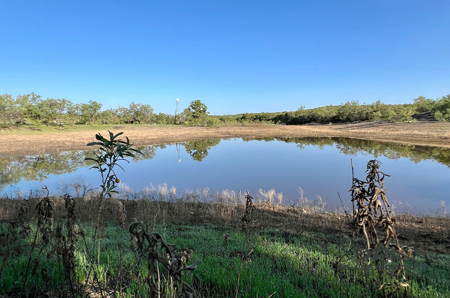 Wilson - Carlsbad Ranch Photo