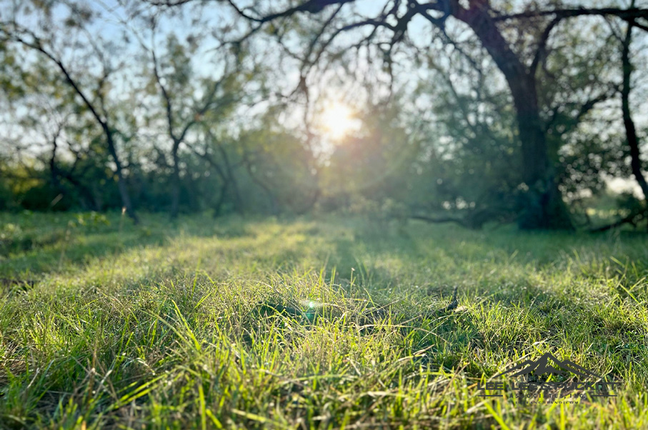 Wilson - Carlsbad Ranch Photo