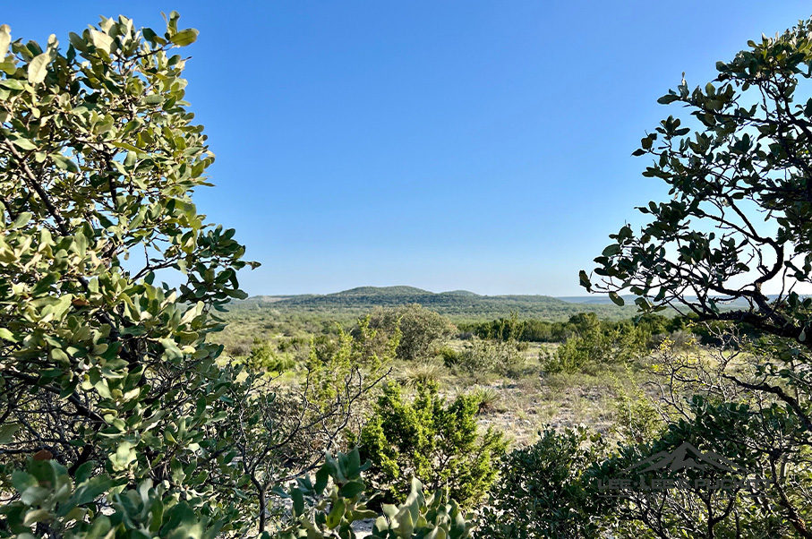 Wilson - Carlsbad Ranch Photo