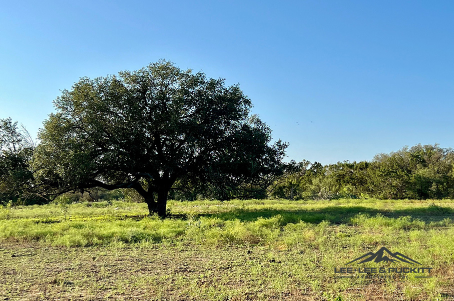 Wilson - Carlsbad Ranch Photo