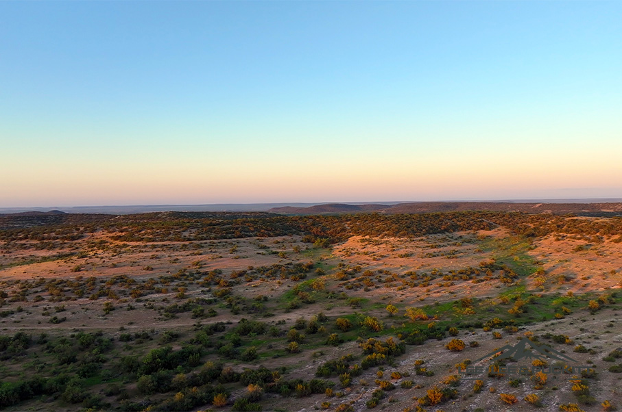 Wilson - Carlsbad Ranch Photo