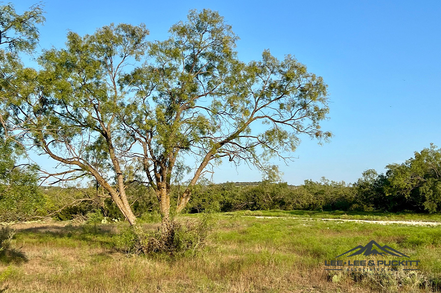 Wilson - Carlsbad Ranch Photo