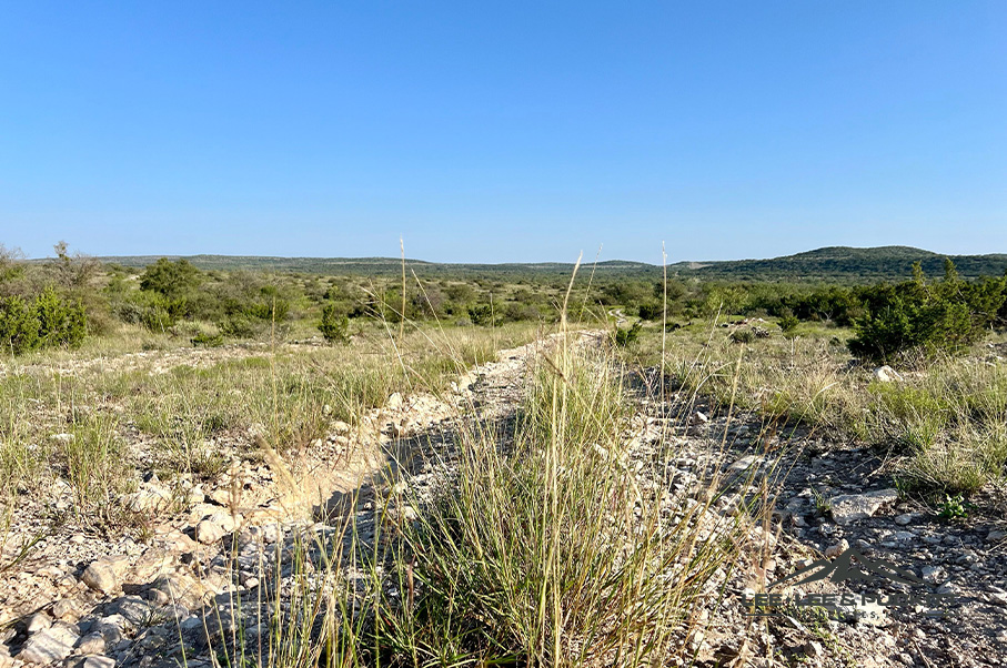 Wilson - Carlsbad Ranch Photo