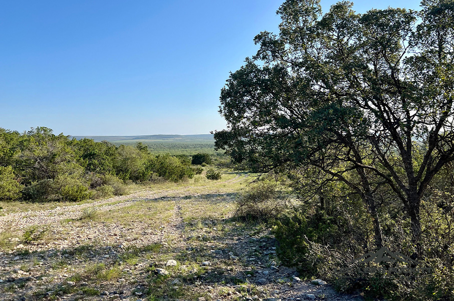 Wilson - Carlsbad Ranch Photo