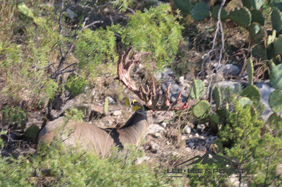 Wilson - Carlsbad Ranch Photo