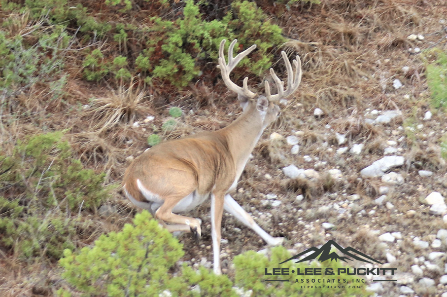 Wilson - Carlsbad Ranch Photo