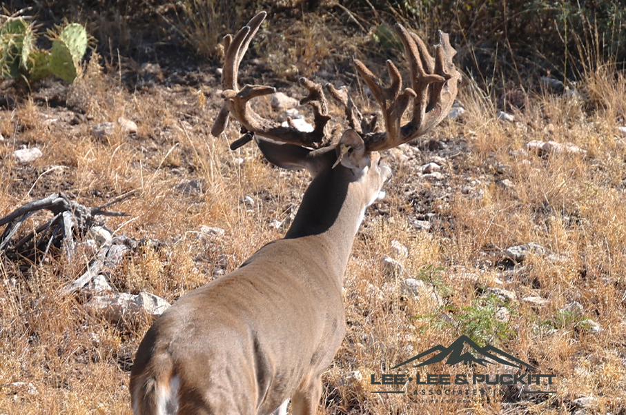 Wilson - Carlsbad Ranch Photo