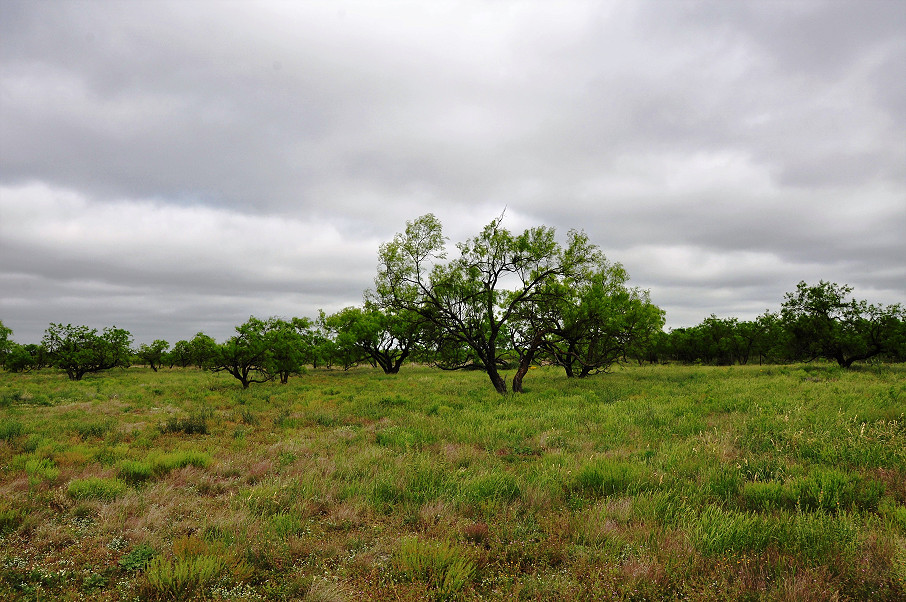 Eldorado Farm & Ranch Photo