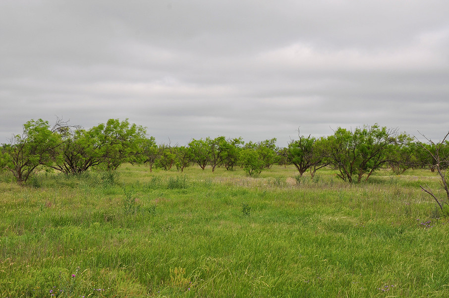 Eldorado Farm & Ranch Photo