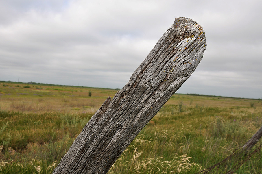 Eldorado Farm & Ranch Photo