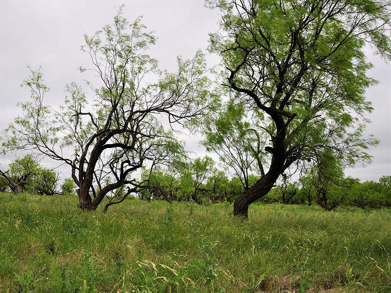 Eldorado Farm & Ranch Photo