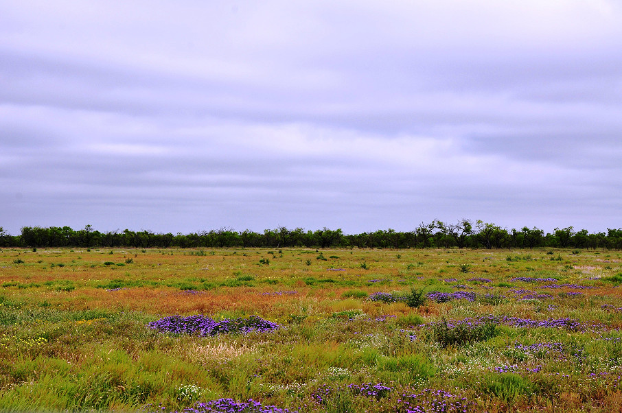 Eldorado Farm & Ranch Photo