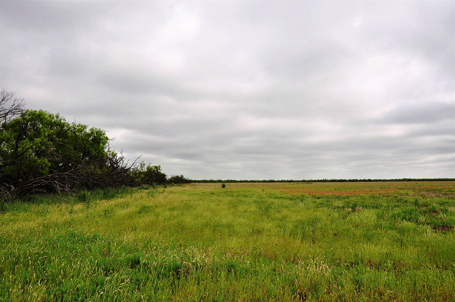 Eldorado Farm & Ranch Photo