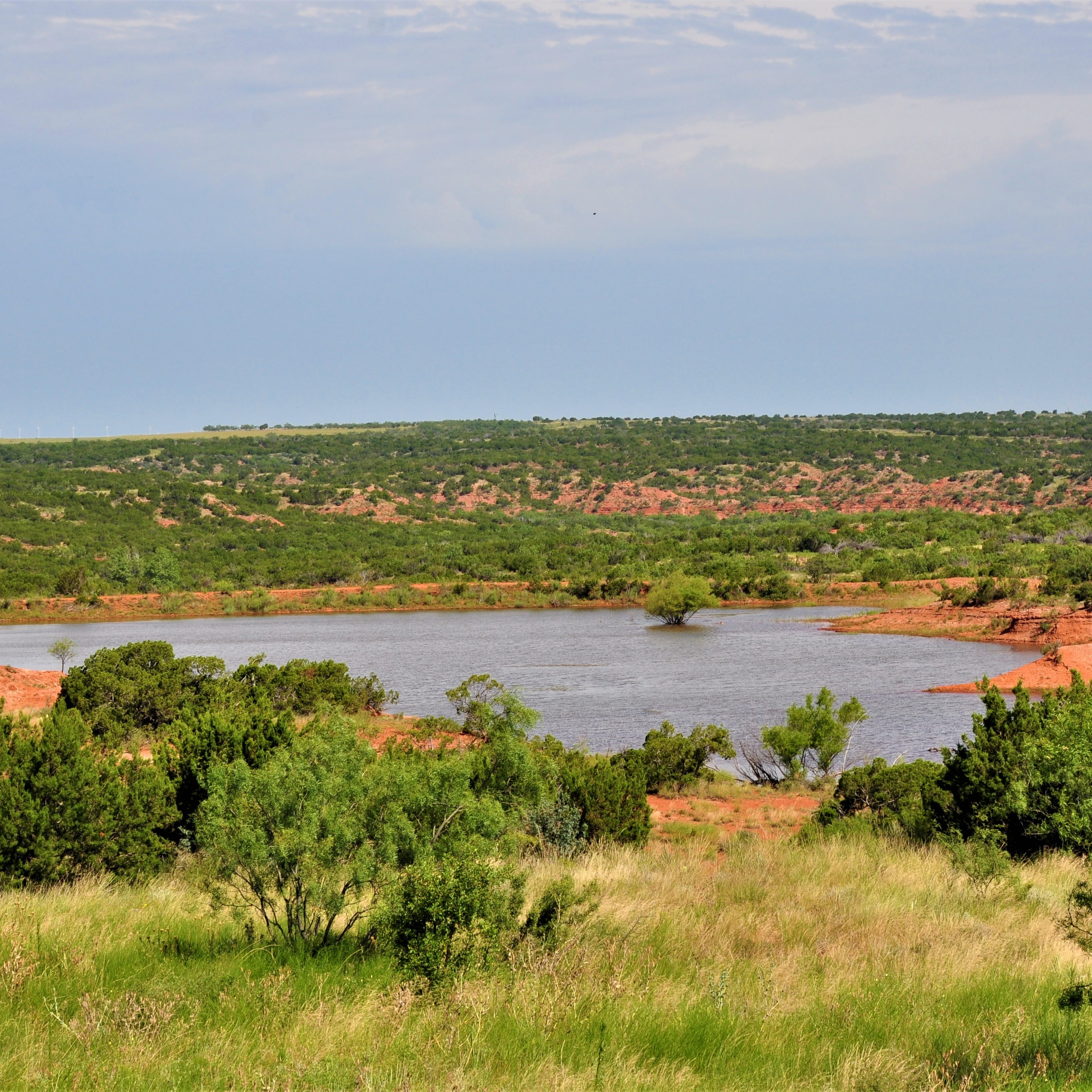 West Texas & Texas Hill County Ranches for Sale | Lee, Lee & Puckitt ...