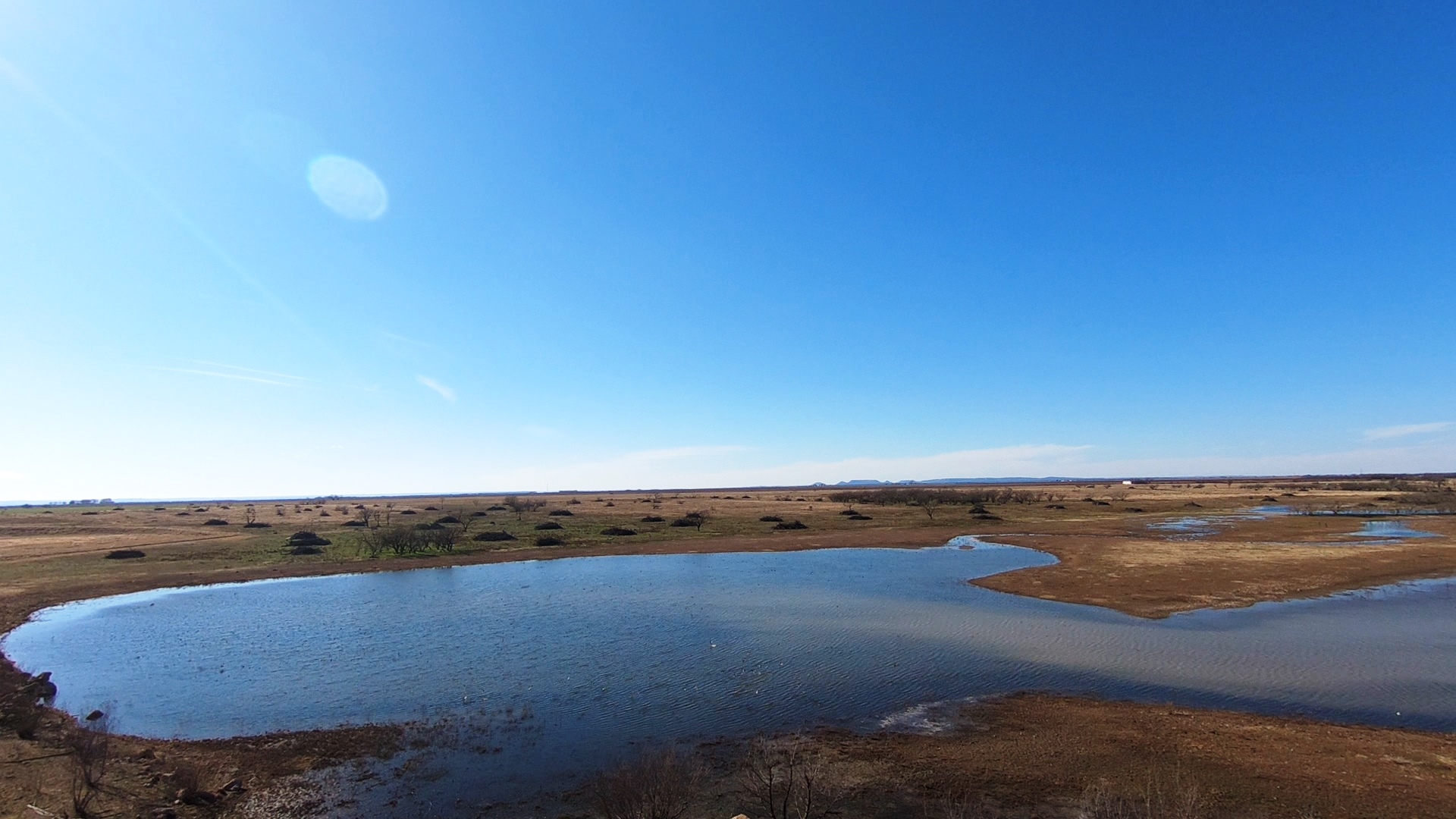 Mustang B Ranch | Lee, Lee & Puckitt Associates, Inc.