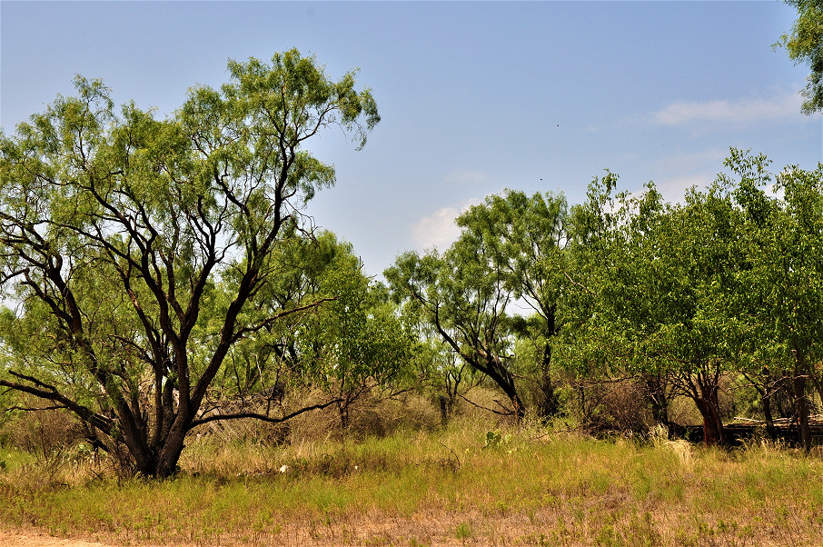 Trophy Ranch Photo