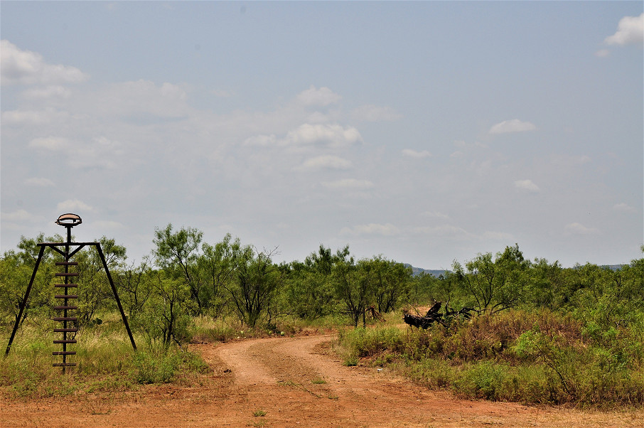 Trophy Ranch Photo