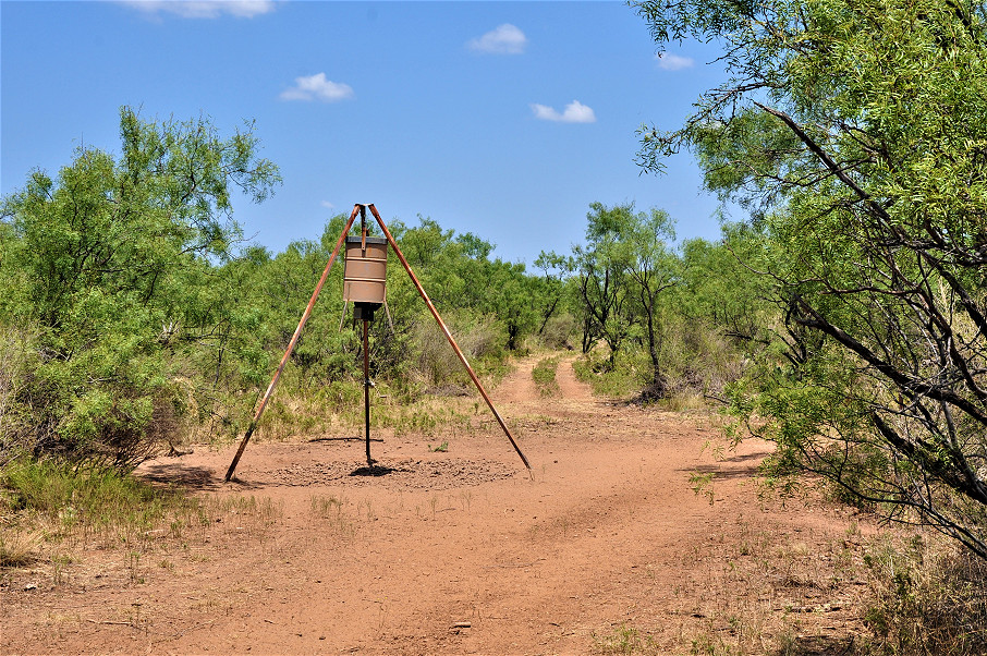 Trophy Ranch Photo