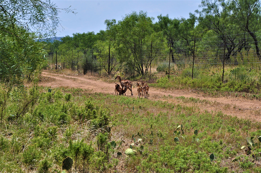 Trophy Ranch Photo