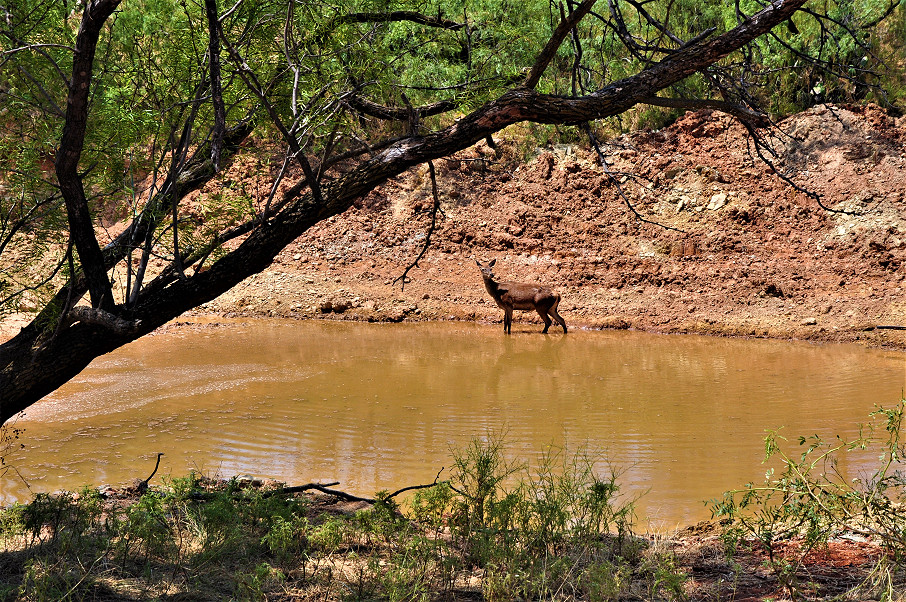 Trophy Ranch Photo