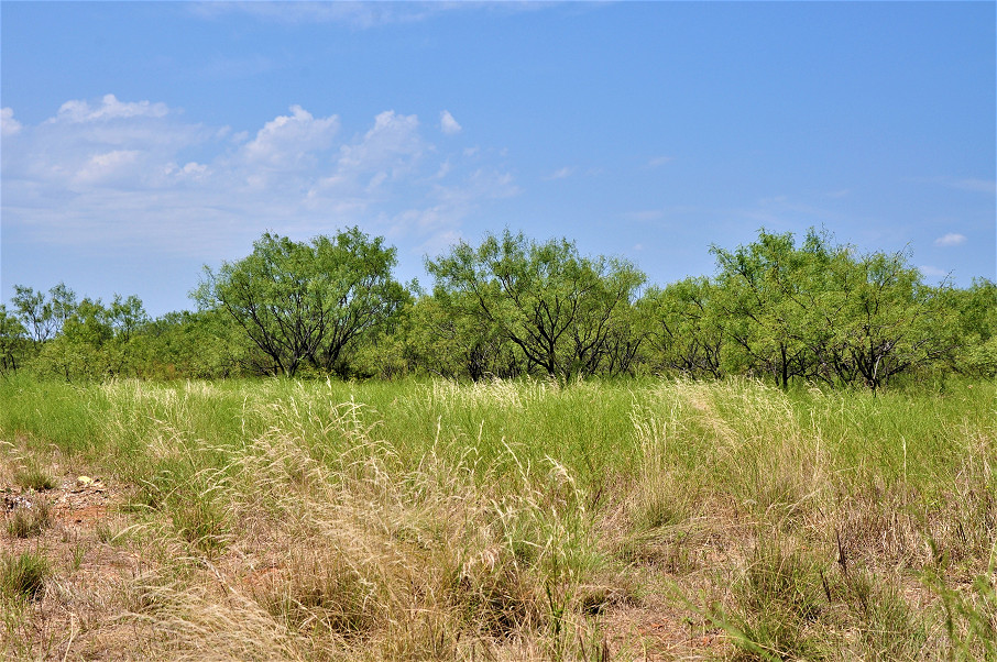 Trophy Ranch Photo