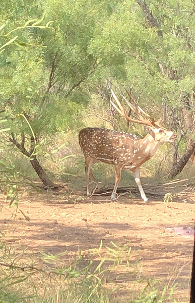 Trophy Ranch Photo