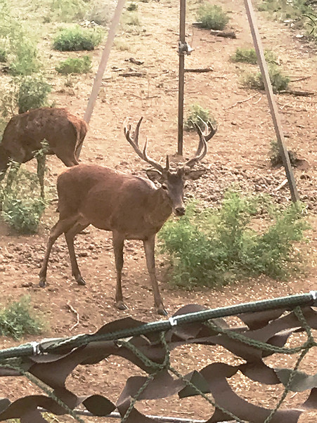 Trophy Ranch Photo